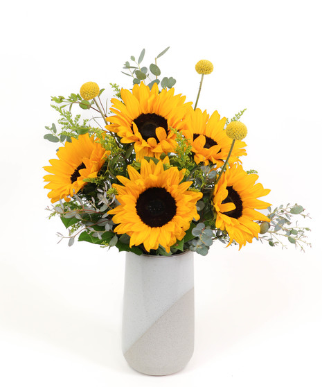 California Sunflowers, Summer Flowers