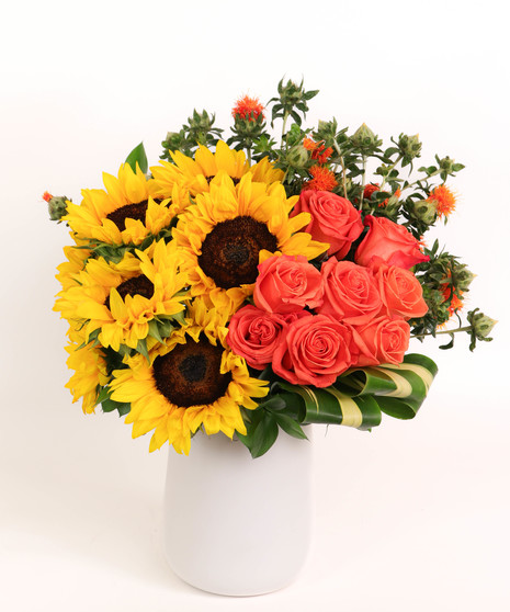 Suns & Roses