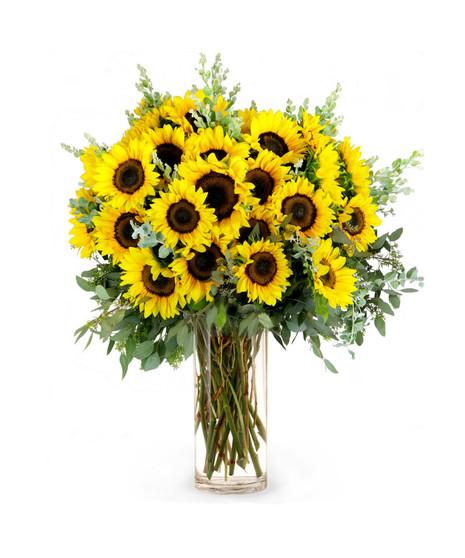 WOW! 50 Sunflowers Arranged!