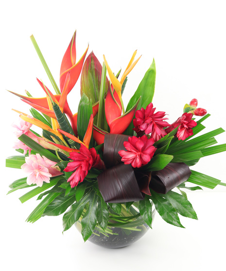 Tropical Bubble Bowl