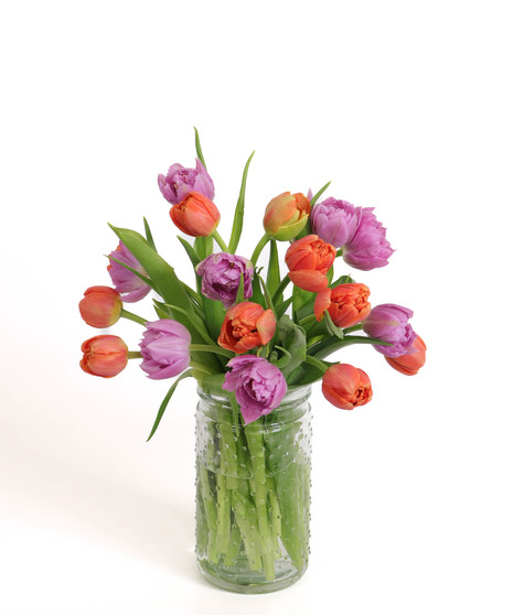 Tango Tulips