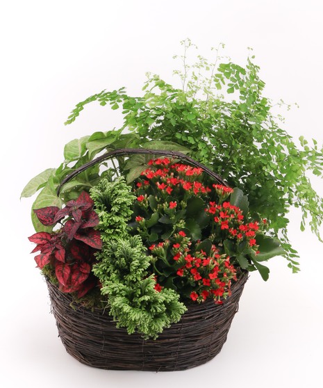 Holiday Treasure Garden Basket